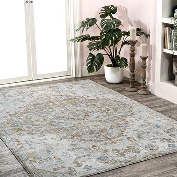 Shaemus Bohemian Medallion Low-Pile Machine-Washable Area Rug